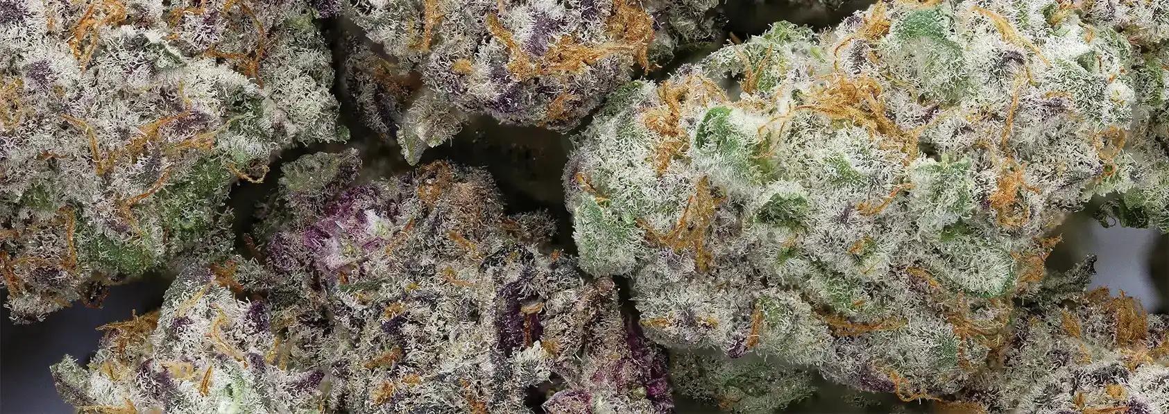 $100 OZ