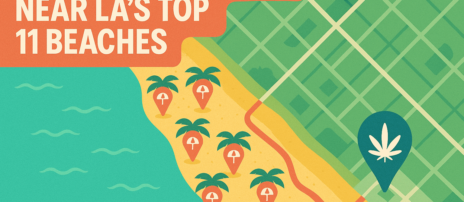 Popular Los Angeles beach guide