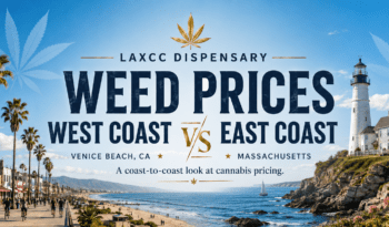 West Coast Vs East Coast Weed Prices 2026