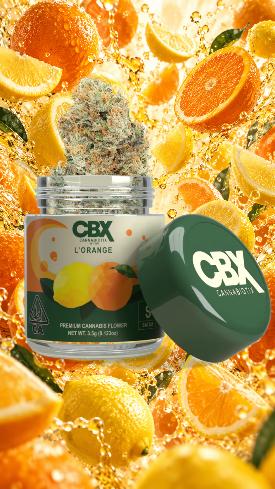 Cannabiotix top-shelf indoor weed, high THC and terpenes